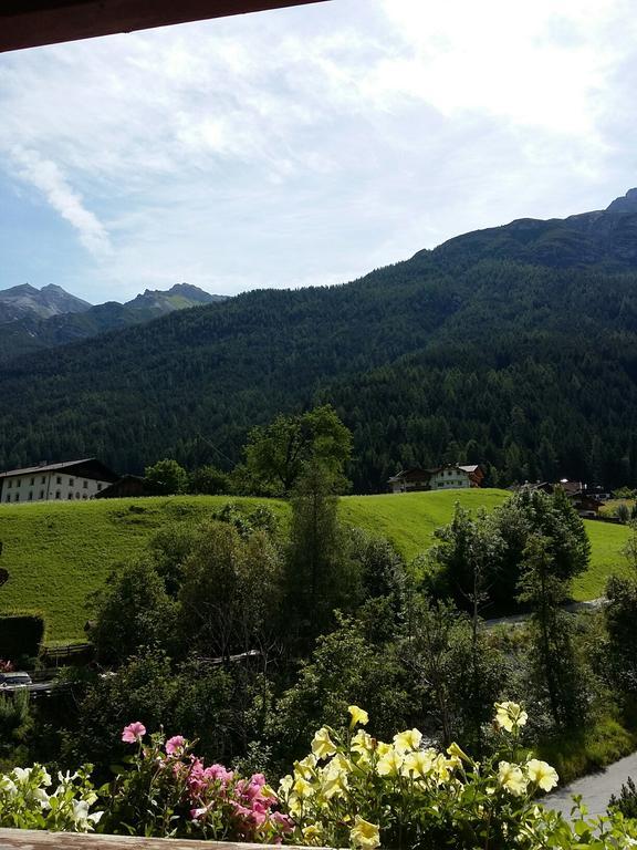 Haus Pinnistor Neustift im Stubaital Luaran gambar